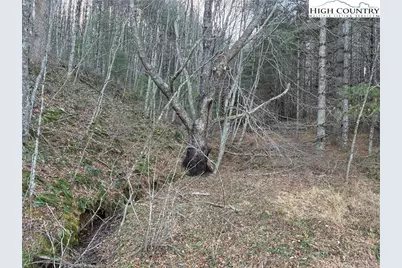 Tbd Old Highway 16 Highway, Grassy Creek, NC 28631 - Photo 1