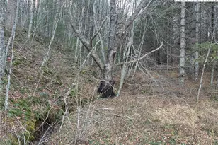 Tbd Old Hwy 16 Hwy, Grassy Creek, NC 28631 - Photo 1