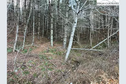 Tbd Old Highway 16 Highway, Grassy Creek, NC 28631 - Photo 12