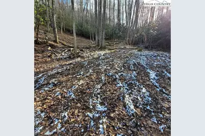 1463 Pine Ridge Road, Beech Mountain, NC 28604 - Photo 10