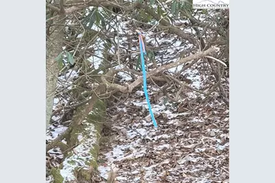 1463 Pine Ridge Road, Beech Mountain, NC 28604 - Photo 14