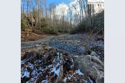 1463 Pine Ridge Road, Beech Mountain, NC 28604 - Photo 8