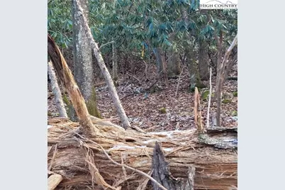 1463 Pine Ridge Road, Beech Mountain, NC 28604 - Photo 16