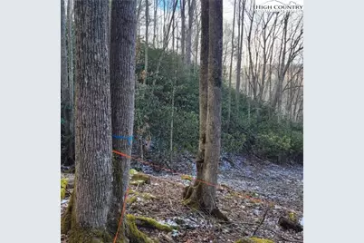 1463 Pine Ridge Road, Beech Mountain, NC 28604 - Photo 18