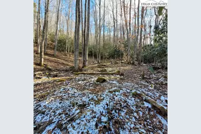 1463 Pine Ridge Road, Beech Mountain, NC 28604 - Photo 12