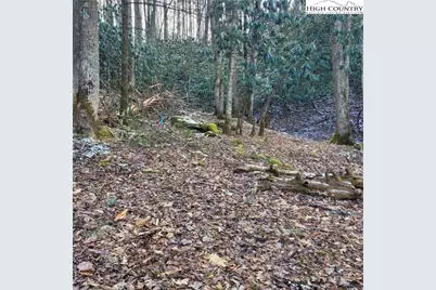 1463 Pine Ridge Road, Beech Mountain, NC 28604 - Photo 20