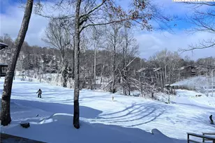 528 Briarcliff Rd, Sugar Mountain, NC 28604 - Photo 34