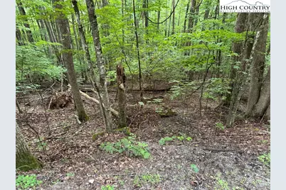 119 Raccoon Road, Beech Mountain, NC 28604 - Photo 2