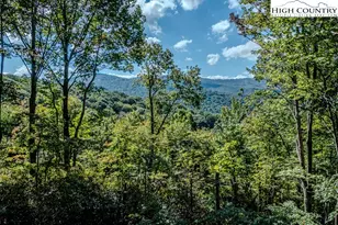 225 Oak Rd, Beech Mountain, NC 28604 - Photo 24