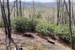 225 Oak Rd, Beech Mountain, NC 28604 - Photo 34