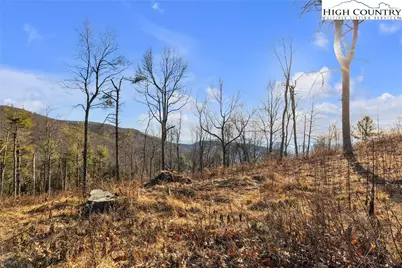 Tbd Johnson Hollow Road, Jefferson, NC 28640 - Photo 38