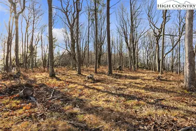 Tbd Johnson Hollow Road, Jefferson, NC 28640 - Photo 40
