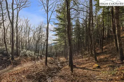 Tbd Johnson Hollow Road, Jefferson, NC 28640 - Photo 42