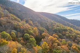 244 Moose Run, West Jefferson, NC 28694 - Photo 2