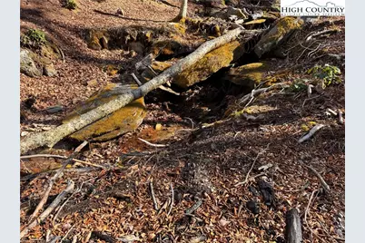 Lot 40 Snow Ridge Road, Banner Elk, NC 28604 - Photo 4