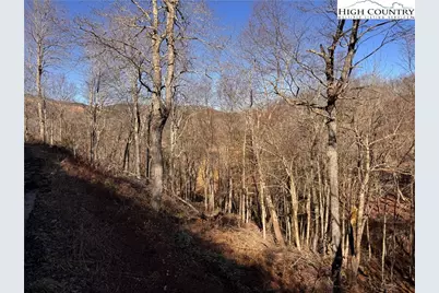 Lot 40 Snow Ridge Road, Banner Elk, NC 28604 - Photo 2