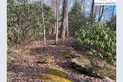 Lot 53 Abaco Drive, Vilas, NC 28692 - Photo 12