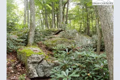 Lot 53 Abaco Drive, Vilas, NC 28692 - Photo 24