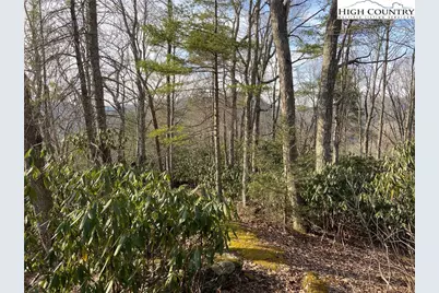 Lot 53 Abaco Drive, Vilas, NC 28692 - Photo 14