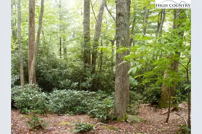Lot 53 Abaco Drive, Vilas, NC 28692 - Photo 26