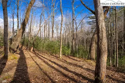 180 Marigold Road, Boone, NC 28607 - Photo 10