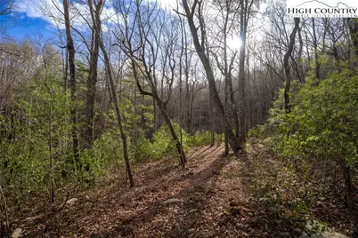 180 Marigold Road, Boone, NC 28607 - Photo 2