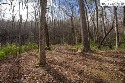 180 Marigold Road, Boone, NC 28607 - Photo 8