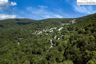 103 Mockingbird Ln, Beech Mountain, NC 28604 - Photo 30