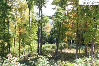 Tbd McNeill Road, Lansing, NC 28617 - Photo 10