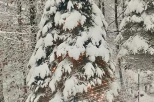 1284 River Breeze Dr, Creston, NC 28615 - Photo 50