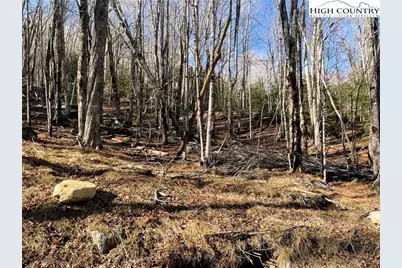 135 Lakeledge Circle, Beech Mountain, NC 28604 - Photo 1