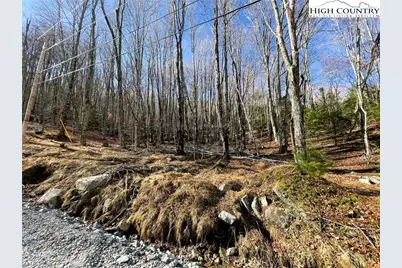 135 Lakeledge Circle, Beech Mountain, NC 28604 - Photo 4