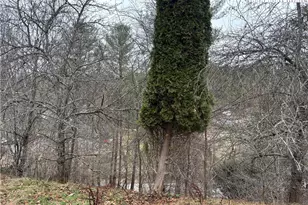 206 Bryant Combs Rd, Sugar Grove, NC 28679 - Photo 34