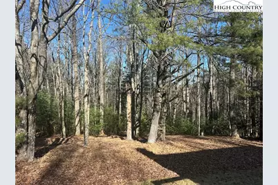 1218 Waterfall Road, Sparta, NC 28675 - Photo 6