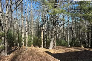 1218 Waterfall Rd, Sparta, NC 28675 - Photo 6