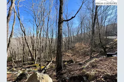 236 Lakeledge Road, Beech Mountain, NC 28604 - Photo 4