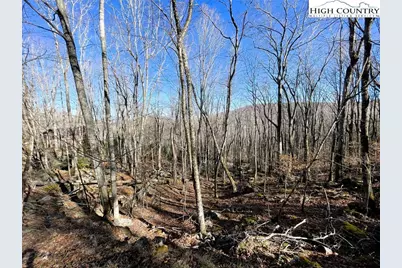 236 Lakeledge Road, Beech Mountain, NC 28604 - Photo 2