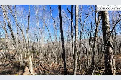 234 Lakeledge Road, Beech Mountain, NC 28604 - Photo 4