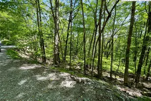 234 Lakeledge Rd, Beech Mountain, NC 28604 - Photo 1