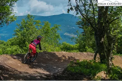 226 Greenbriar Road, Beech Mountain, NC 28604 - Photo 8