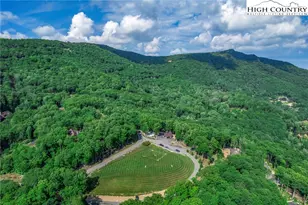 22 Tioga Dr, Banner Elk, NC 28604 - Photo 44