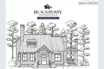 8580 Homestead Drive, Lenoir, NC 28645 - Photo 1