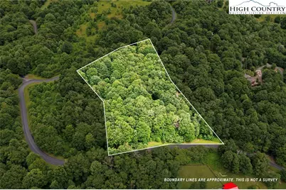 Tbd Buffalo Nvno Drive, Zionville, NC 28698 - Photo 2