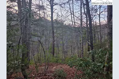 Lot94/95 Roaring Ridge Road, Deep Gap, NC 28618 - Photo 2