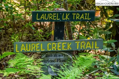 Lot94/95 Roaring Ridge Road, Deep Gap, NC 28618 - Photo 4