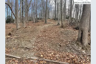 19 Jackson Ridge Road, Boone, NC 28607 - Photo 2