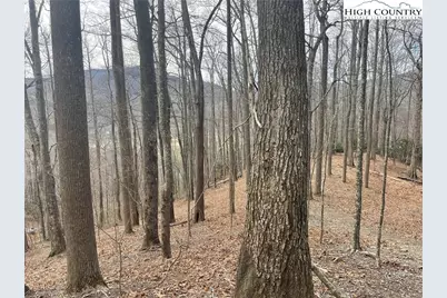 19 Jackson Ridge Road, Boone, NC 28607 - Photo 1