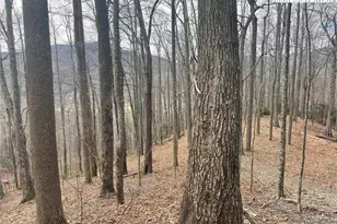 19 Jackson Ridge Rd, Boone, NC 28607 - Photo 1