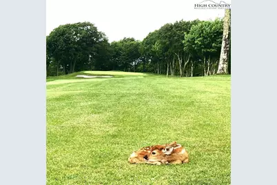 110 Hilltop Road, Banner Elk, NC 28604 - Photo 38