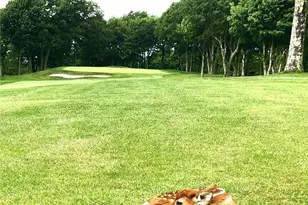 110 Hilltop Rd, Banner Elk, NC 28604 - Photo 38